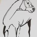 Cheval 1