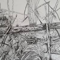 UNDERGROWTH
